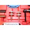 Motor en brandstofpomp timingset Ford 2.0 2.2 2.4 3.2 TDDI TDCI