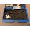  Timingset Ford Mazda Volvo 1,6 2,0 en 2,3 met T4 T5 T7 motoren