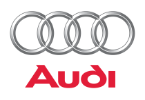 AUDI speciaal gereedschap