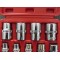 Torx doppenset E  14 - delig  E4 tot E24