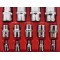 Torx doppenset E  14 - delig  E4 tot E24